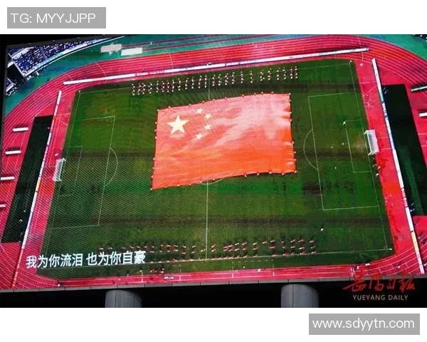 我在绿茵场上的成长之路与奋斗经历 我在绿茵场上的成长之路与奋斗经历