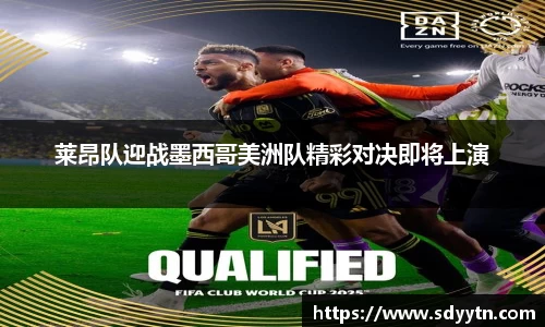 龙8国际